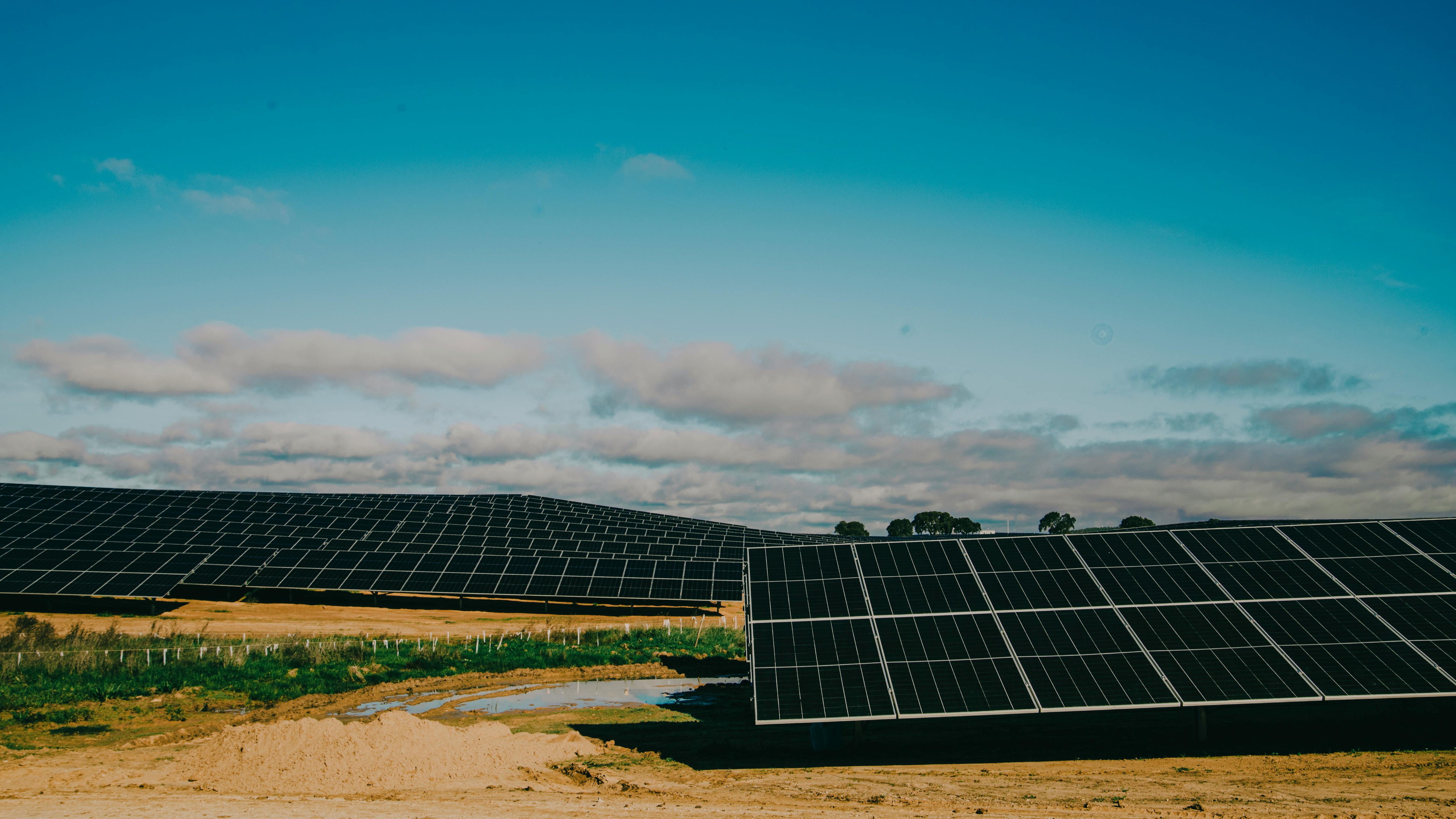 pexels-gunas4life-19205947